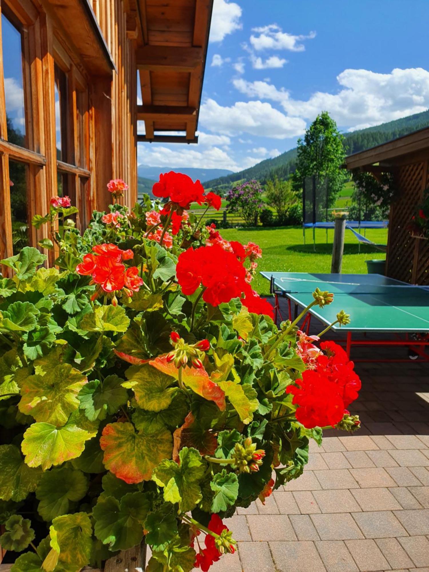 Ferienwohnungen Haus-Holzer Mauterndorf  Exterior photo
